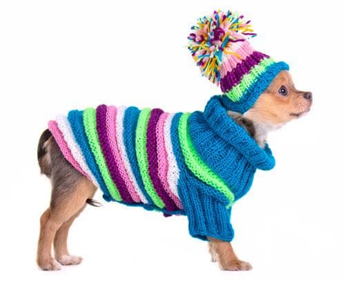 dog_sweater_500